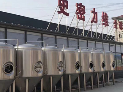 淇滨精酿啤酒设备厂—如何判断精酿啤酒设备的密封件需要更换？